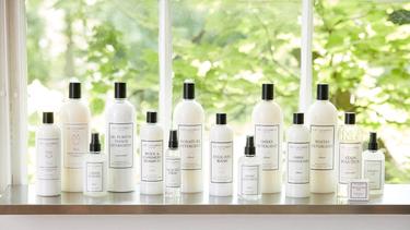 chn the Laundress banner